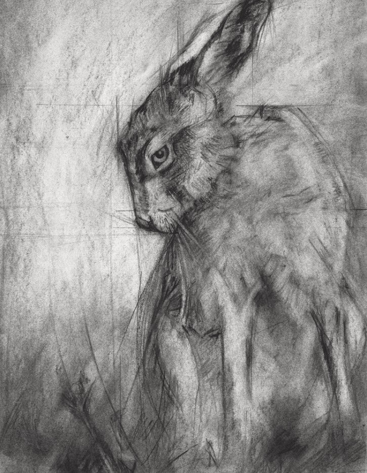 Hare